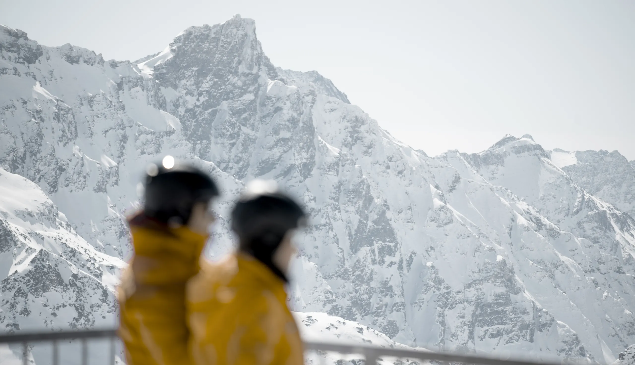 Two skiers in yellow jackets facing snow-capped peaks